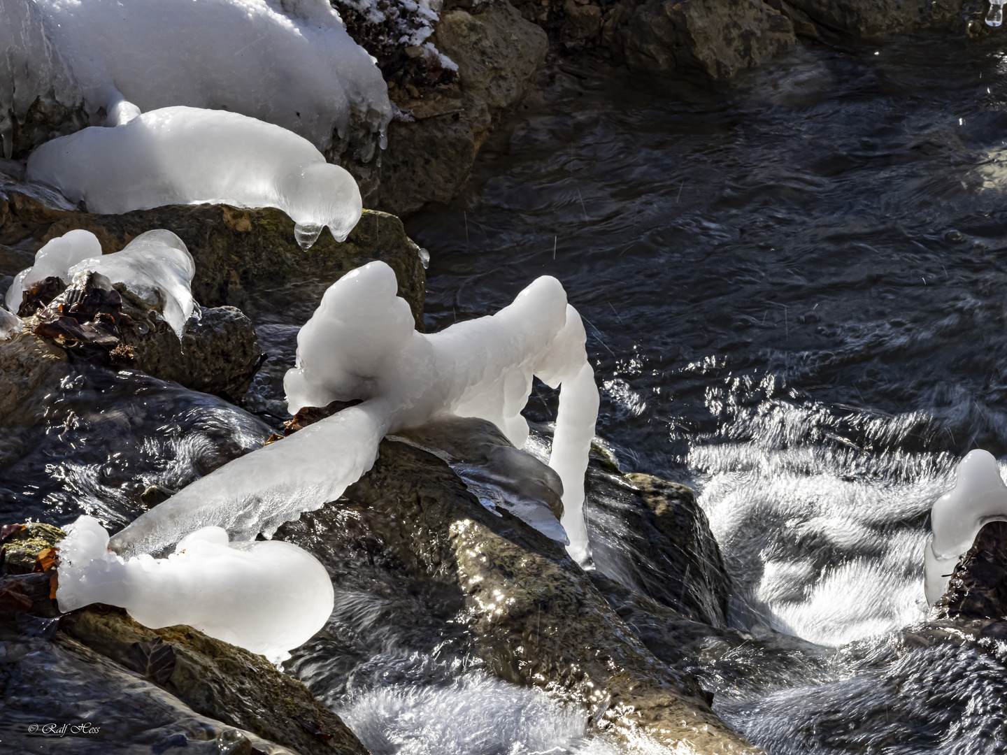 Eisskulpturen - Walross - Fisch und Krabbe