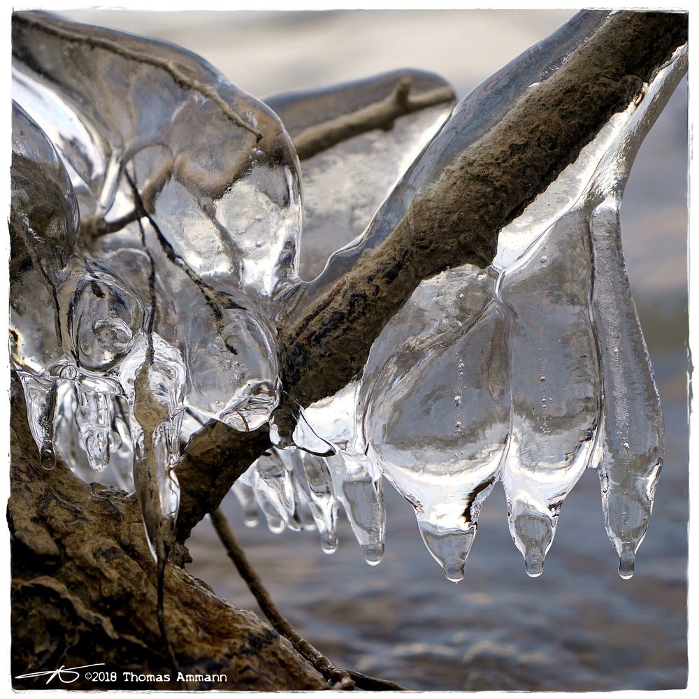 Eisskulpturen#17_180224