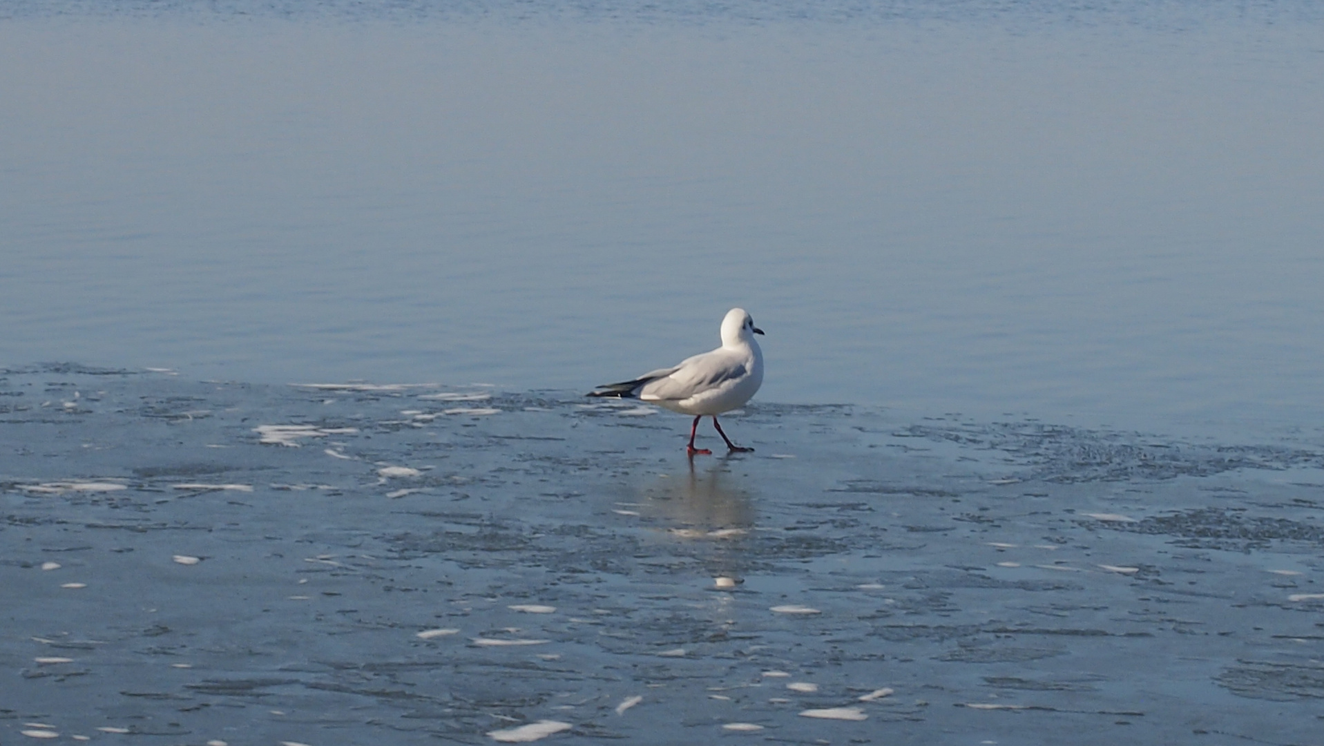 Eisspaziergang