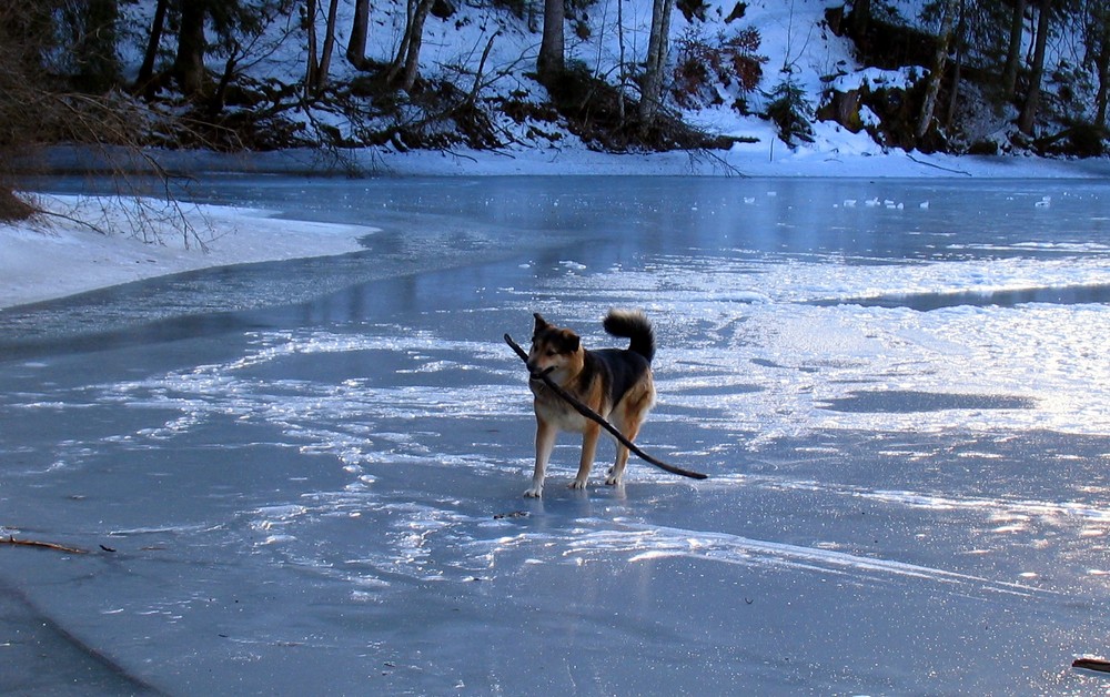 Eisspaziergang