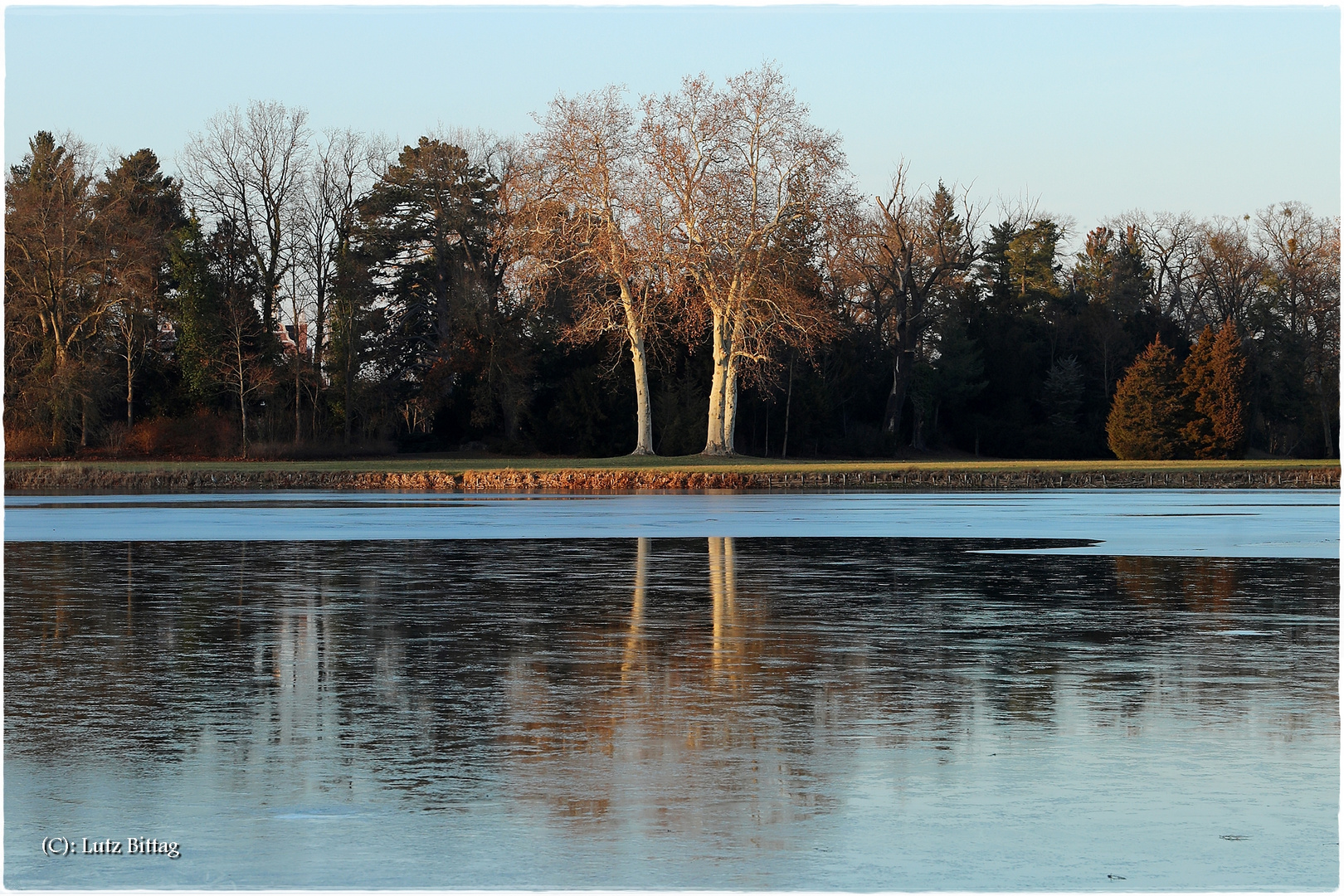 Eisspiegelung im Wörlitzer See