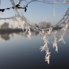 Eisspinnennetz Teschowsee