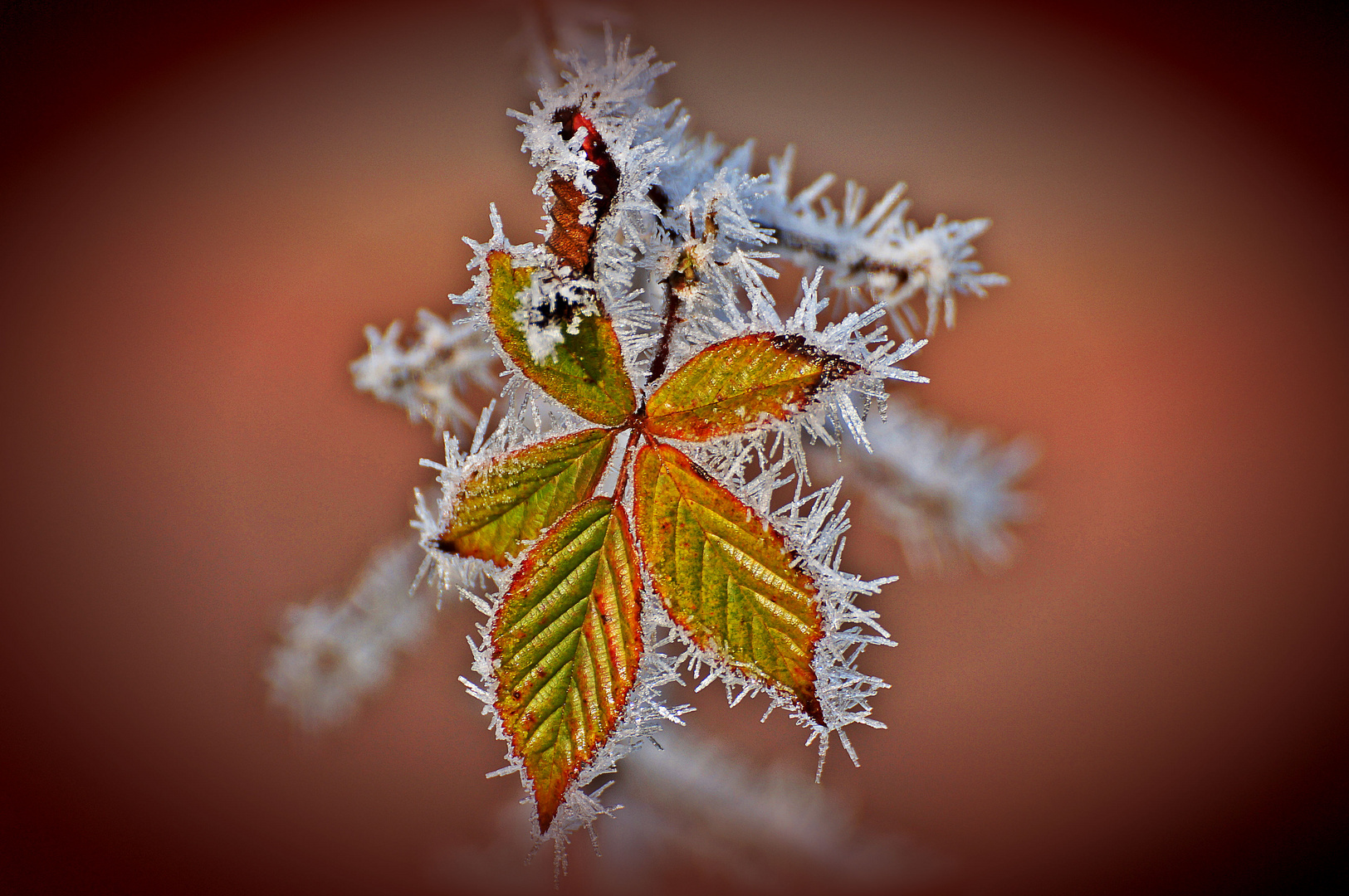 Eisspitzen Foto & Bild archiv projekte naturchannel