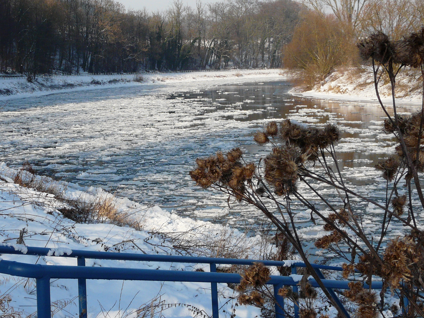 Eissschollen am Weserbogen