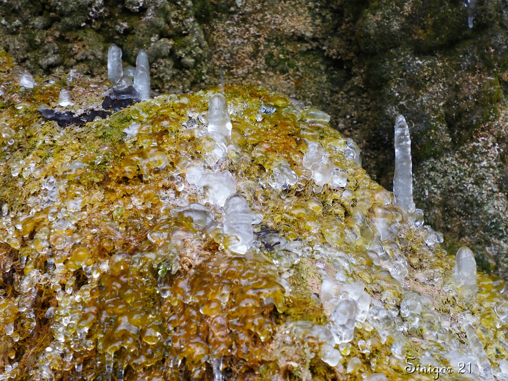 Eisstalagmiten