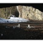 Eisstalakmiten in der Oswaldhöhle