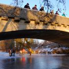  Eisstockschießen 31. Januar 2017