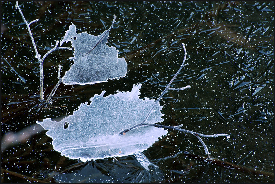 Eisstruktur ...