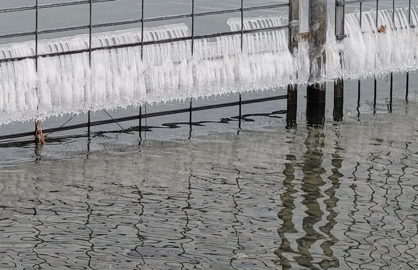 Eisstruktur am Strandzaun (Bodensee)