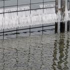 Eisstruktur am Strandzaun (Bodensee)