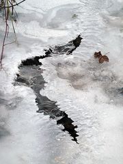 Eisstrukturen am Dorfbach I