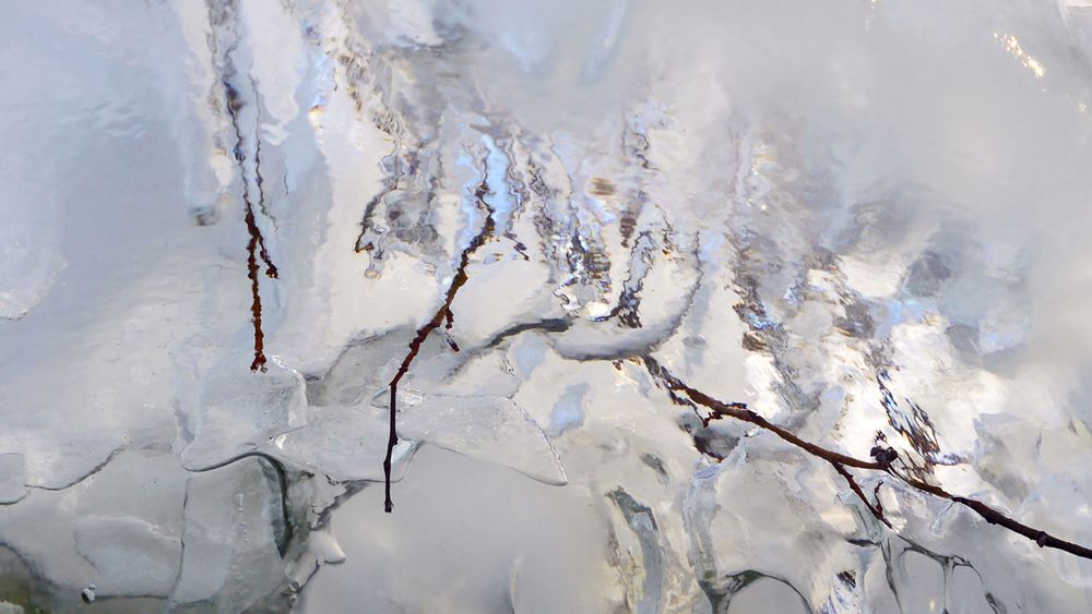 Eisstrukturen am Waldbrunnen