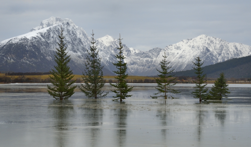 Eistannen auf den Lofoten