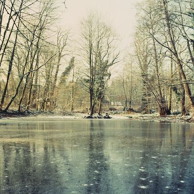 Eisteich #500c-001010