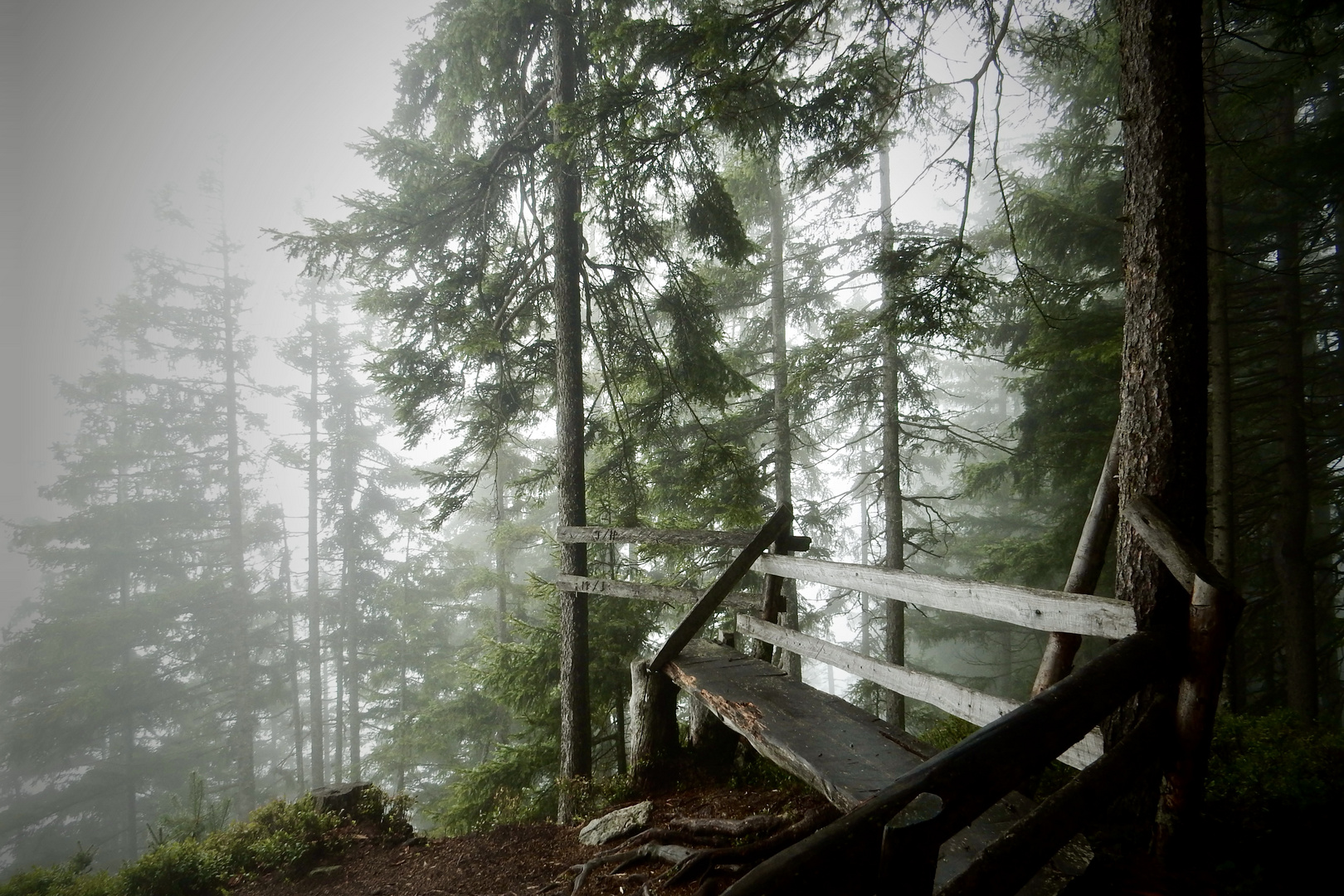 Eisten , Golzern - Waldiberg