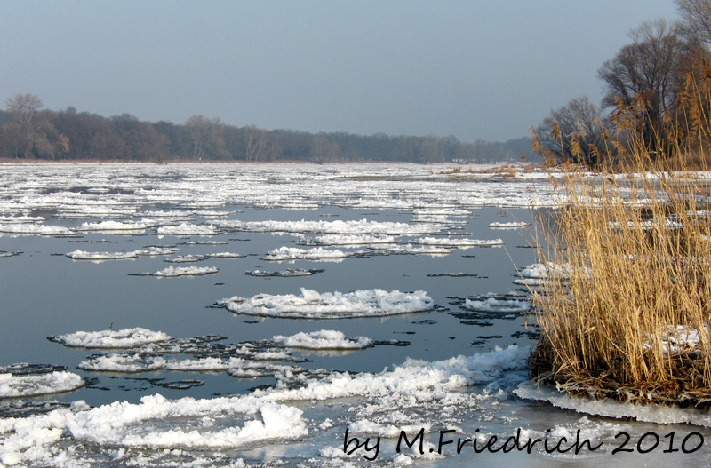 Eistreiben auf der Elbe in Schönebeck Elbe