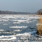 Eistreiben auf der Elbe in Schönebeck Elbe