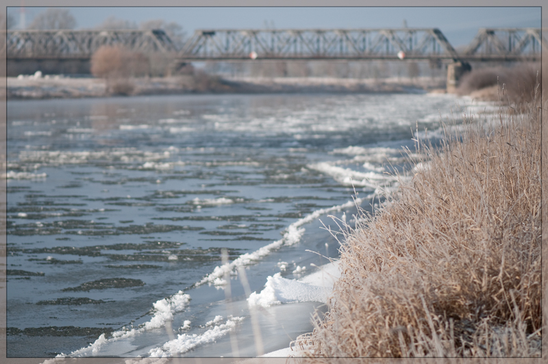 Eistreiben auf der Weser - 2