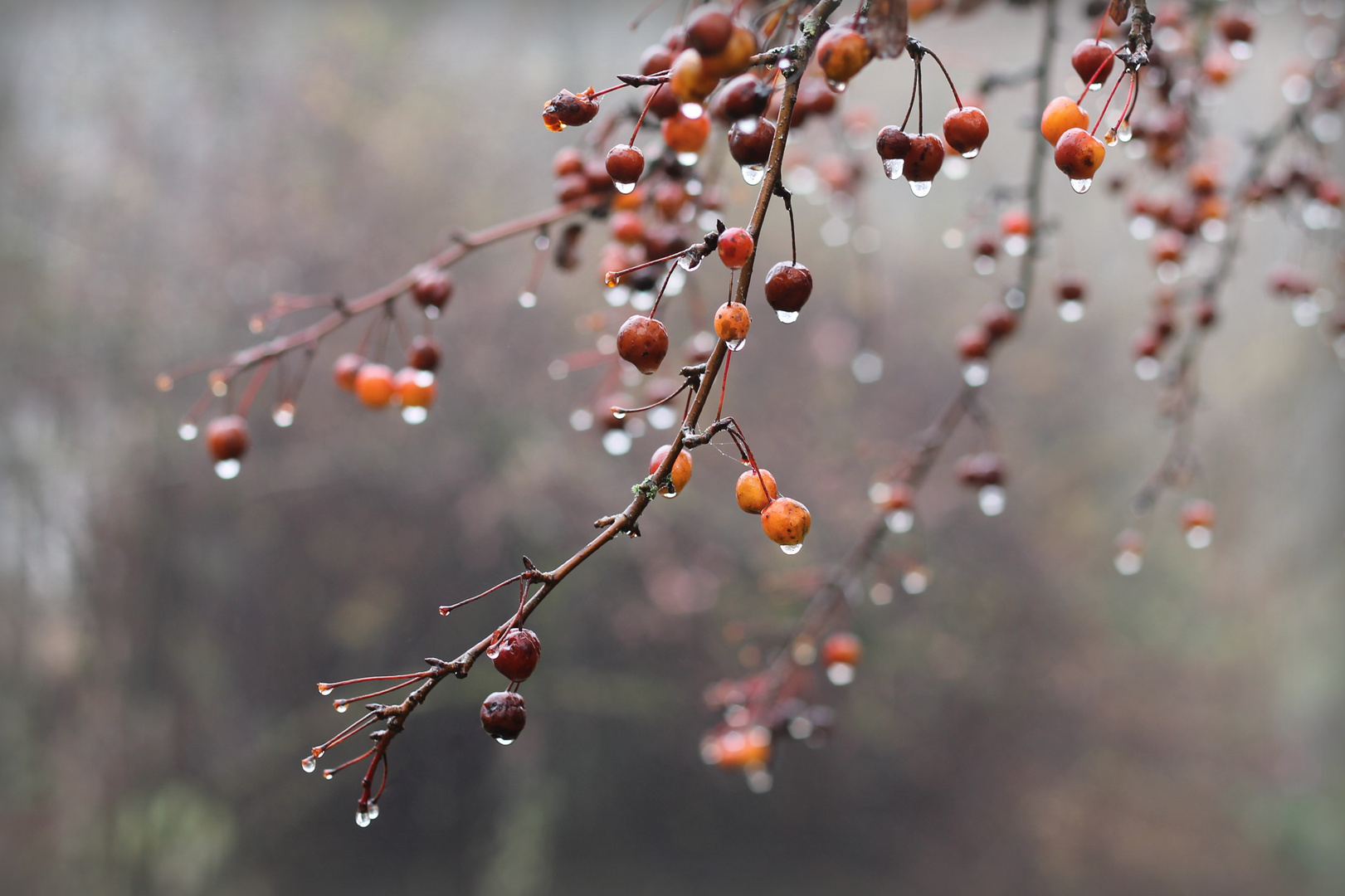 Eistropfen