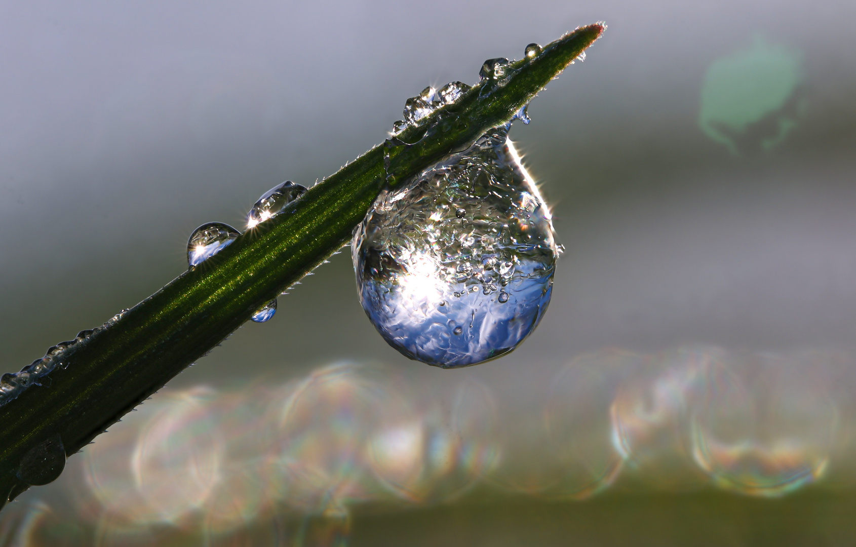 Eistropfen mit Spiegelung