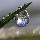 Eistropfen mit Spiegelung