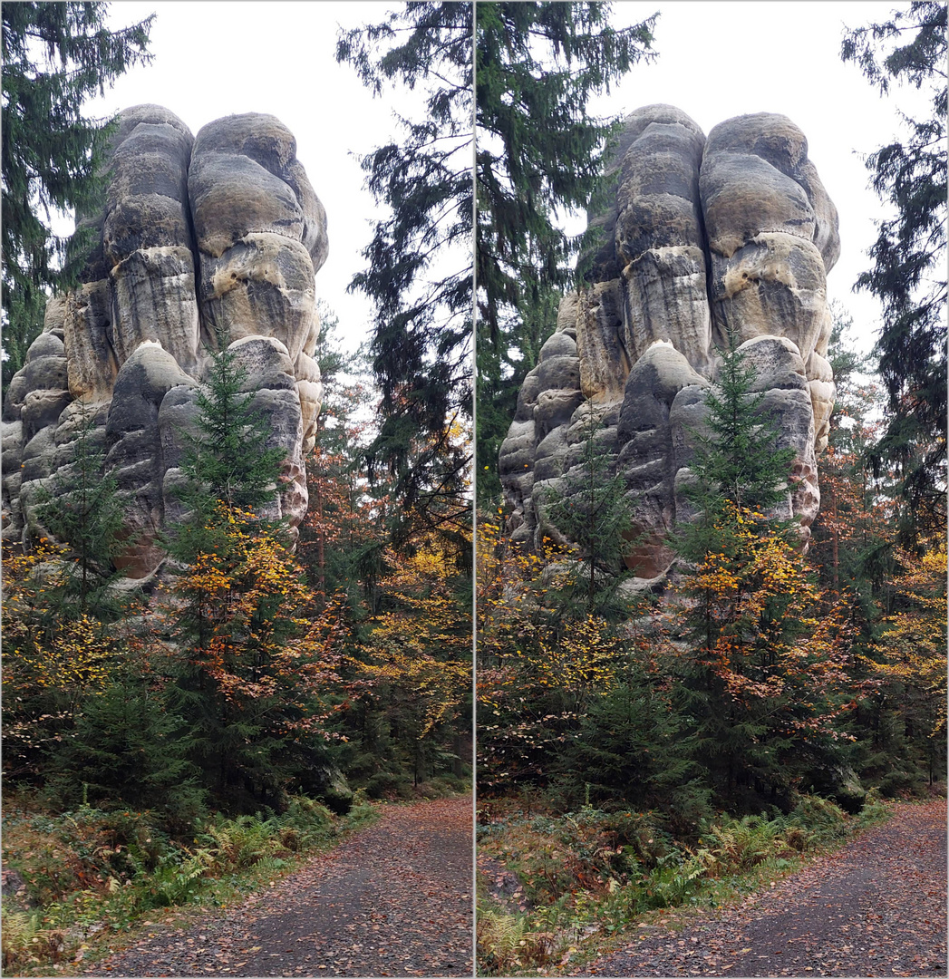 "Eistüte" ?   (3D Parallelblick Stereo)