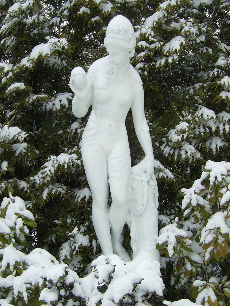 EISVENUS von Axel Hergert