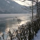 Eisvergnügen auf dem Lunzer See