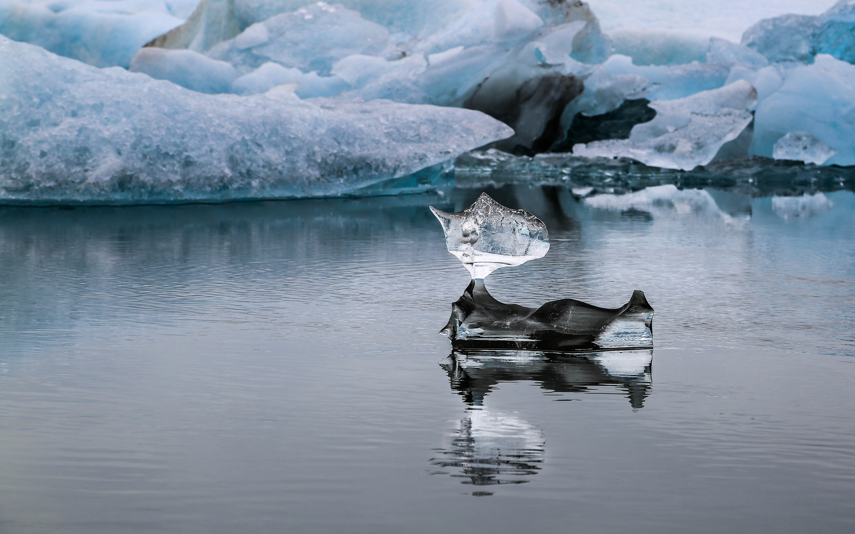 Eisvogel