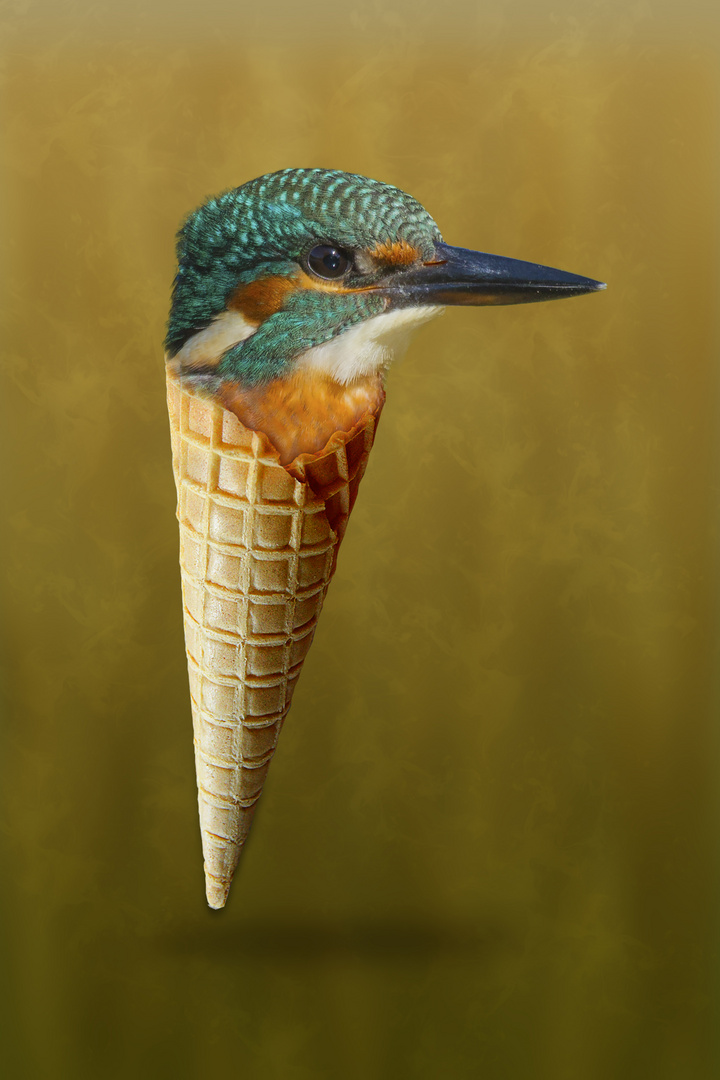 "Eis"Vogel