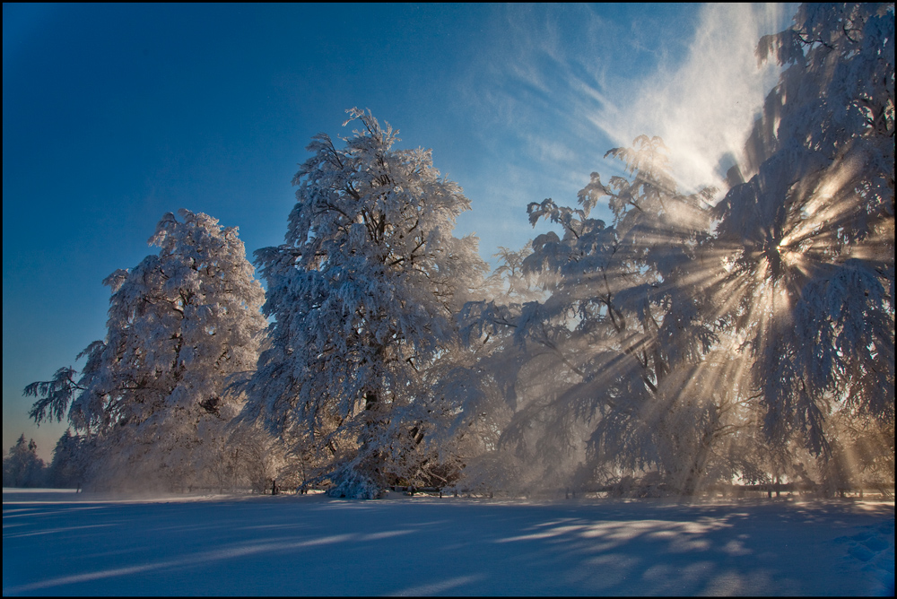 Eiswärme