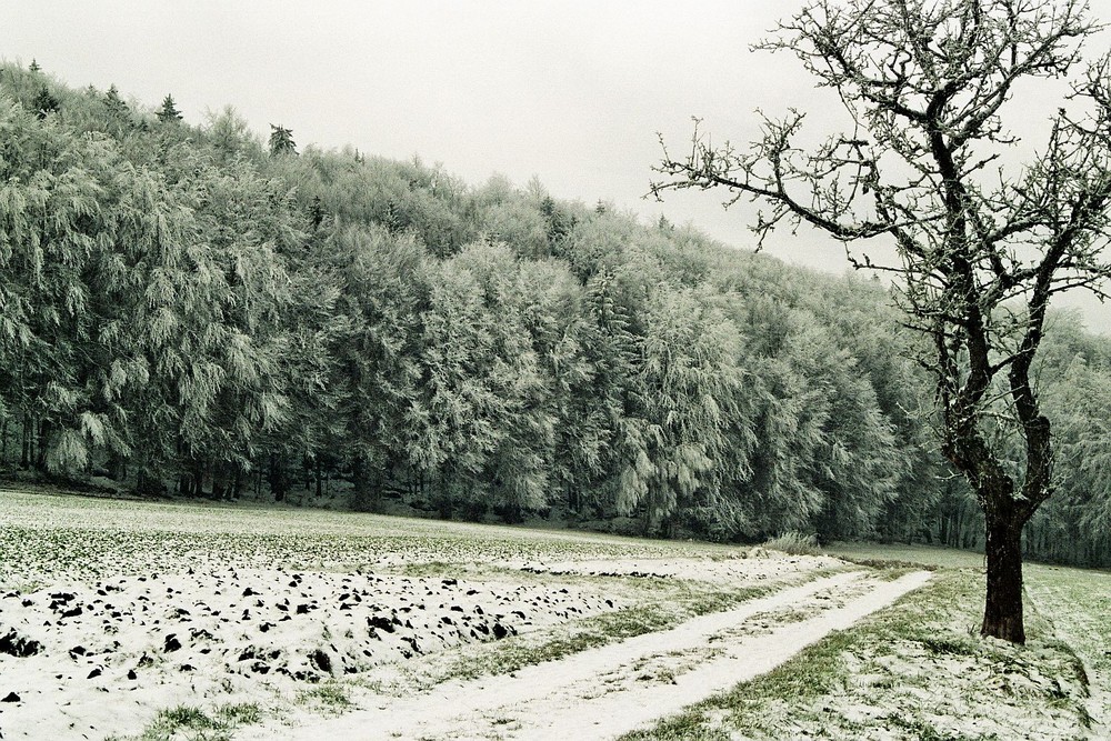 Eiswald im Birgland von Hans-Peter Bierlein 