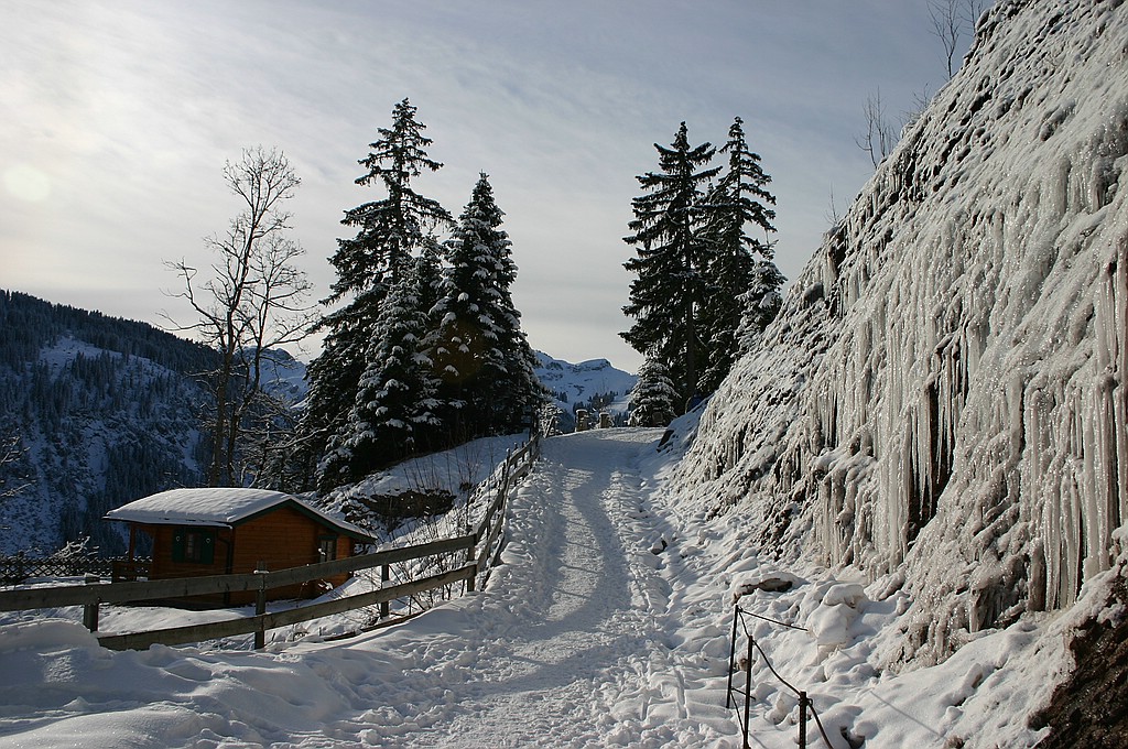 Eiswand am "Adlerhorst" (Tannheimertal)
