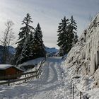 Eiswand am "Adlerhorst" (Tannheimertal)