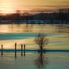 Eiswandern am Niederrhein