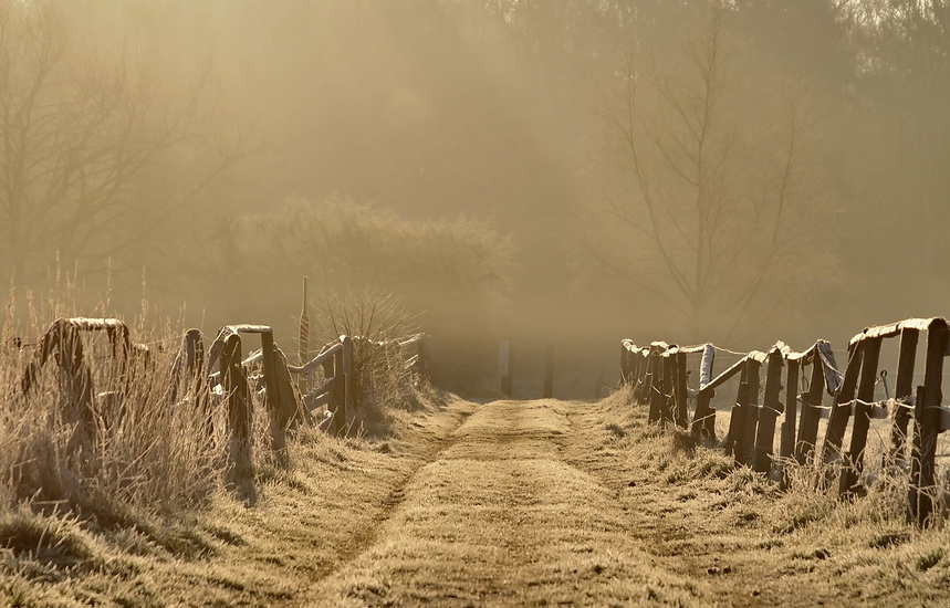 EISWARMER WEG