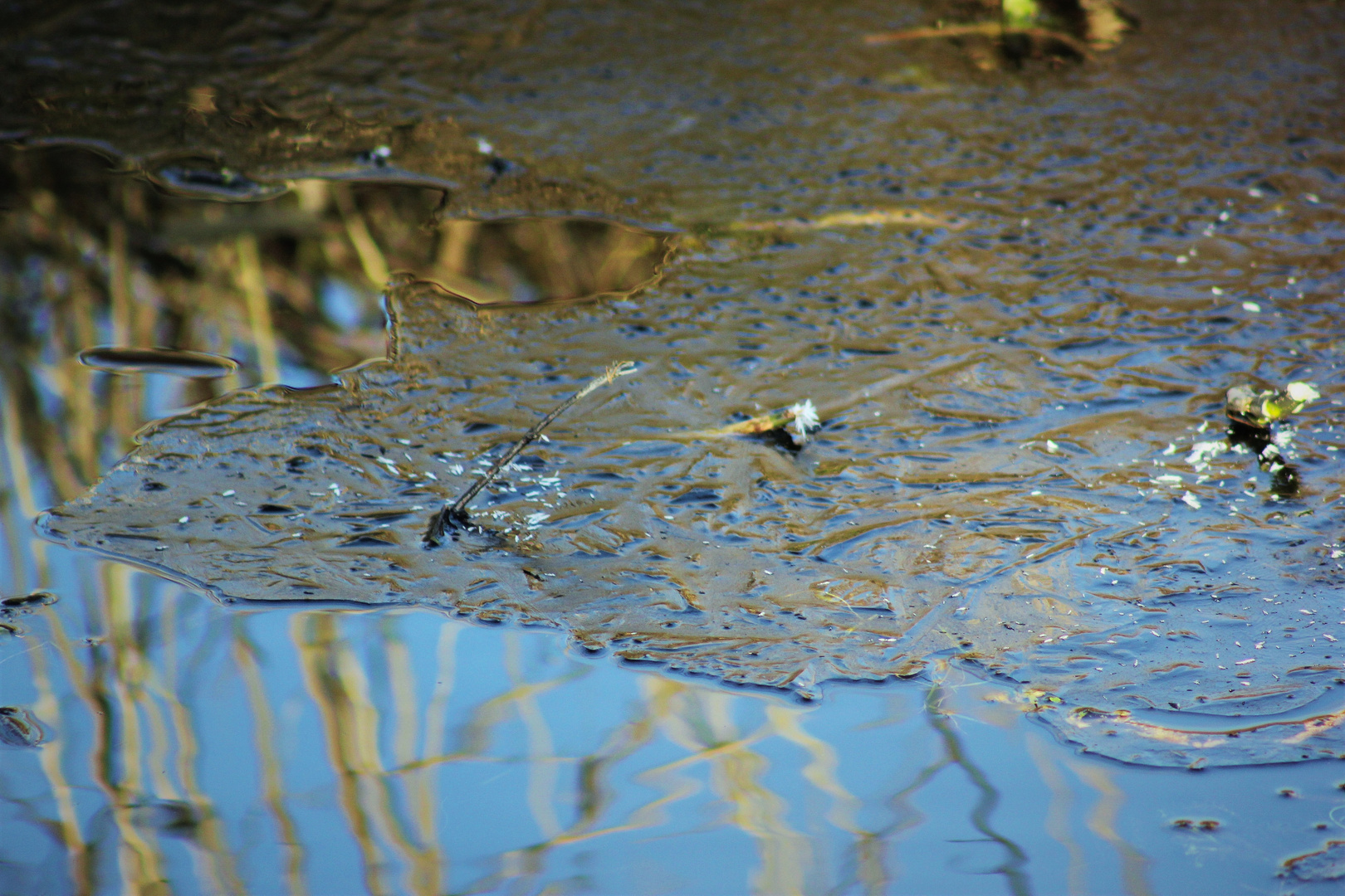 Eiswasser