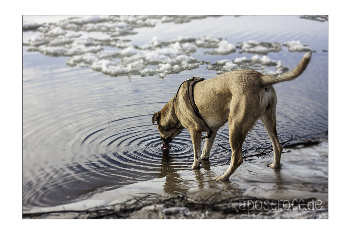 Eiswasser