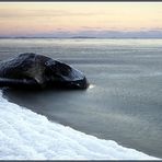 Eiswasser - Rügen (1)