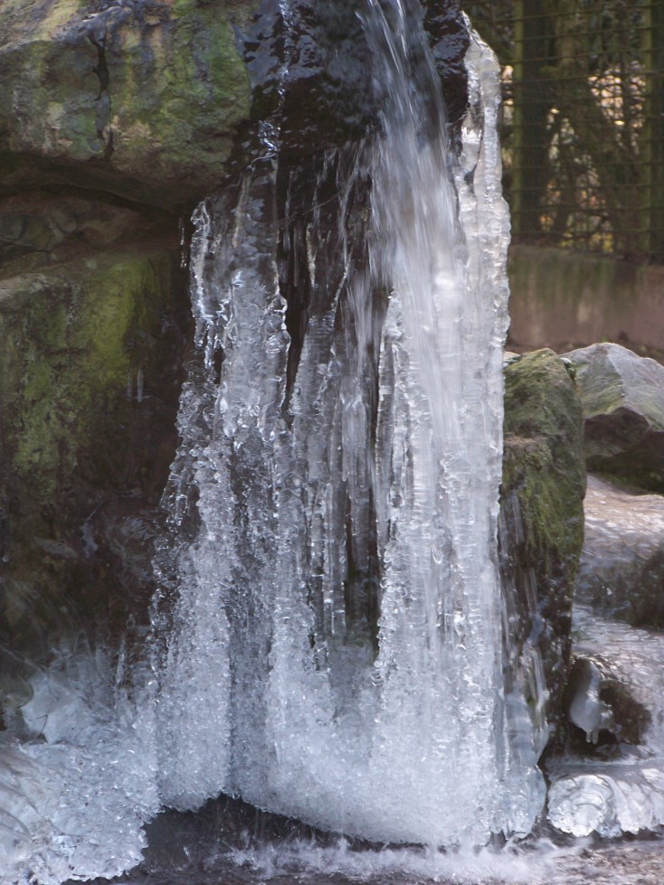 Eiswasserfall (Zoo Duisburg)