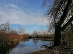 Eisweiher bei Gerstetten