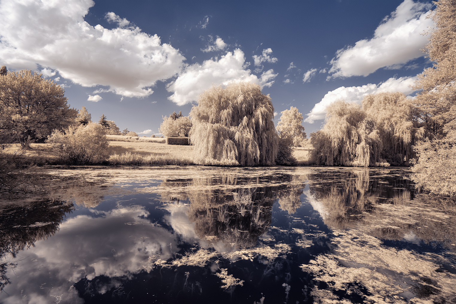 Eisweiher [IR]