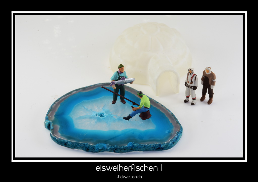 eisweiherfischen I