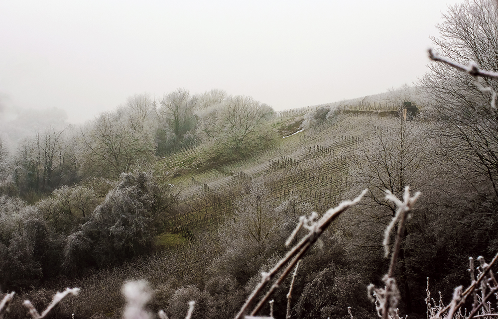 Eisweinberge