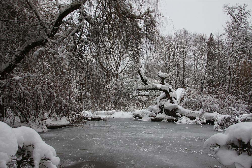 Eiswelt