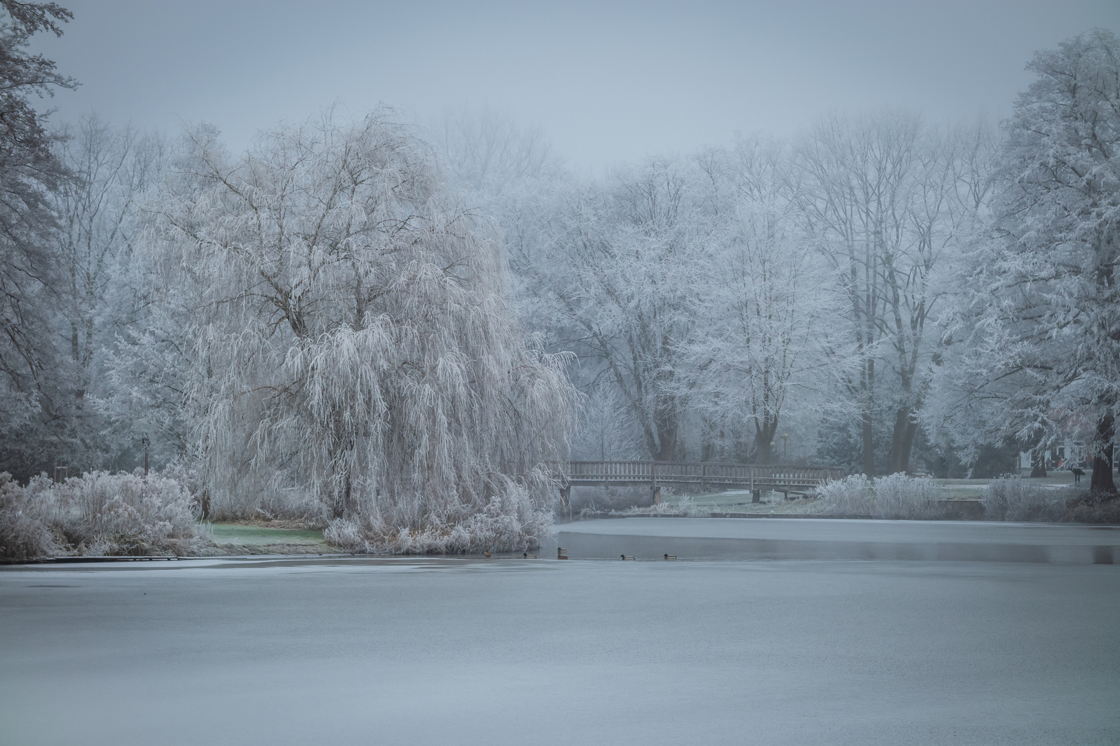 Eiswelt