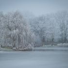 Eiswelt