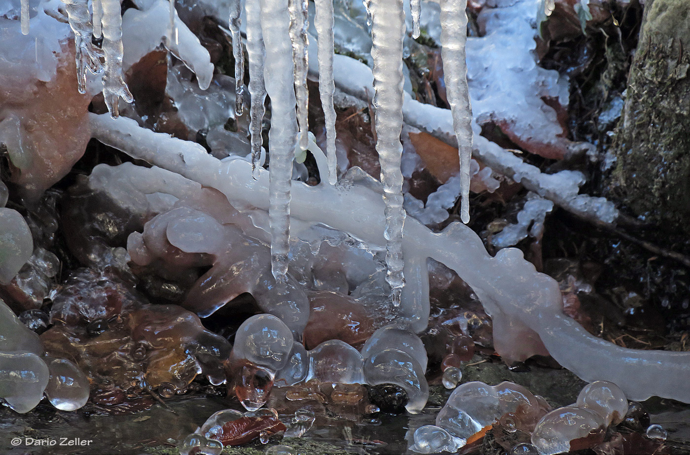 Eiswelt