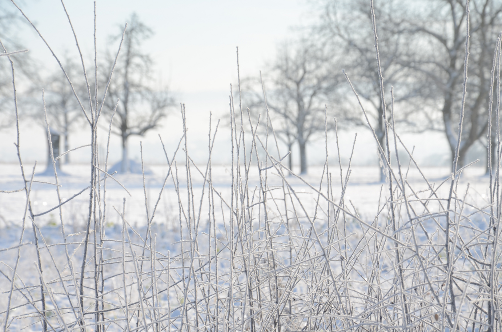 Eiswelt