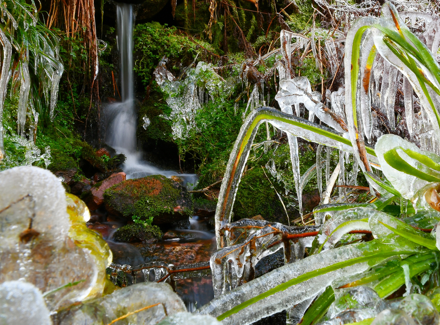 Eiswelt